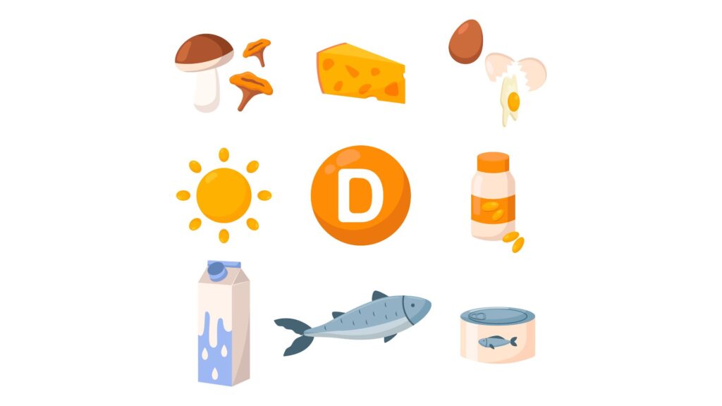 ilustração alimentos vitamina D
