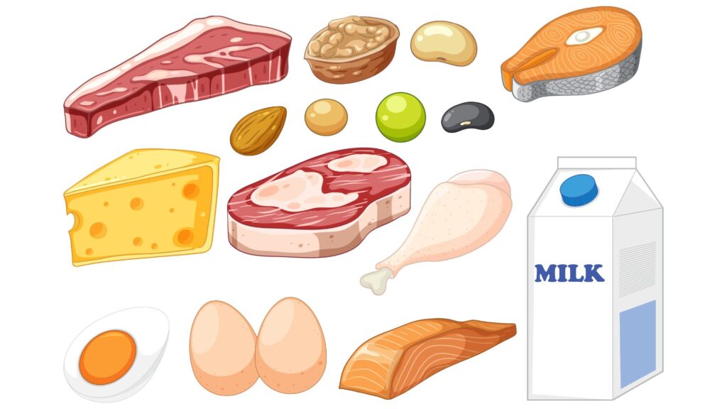 Alimentos ricos em proteína em composição