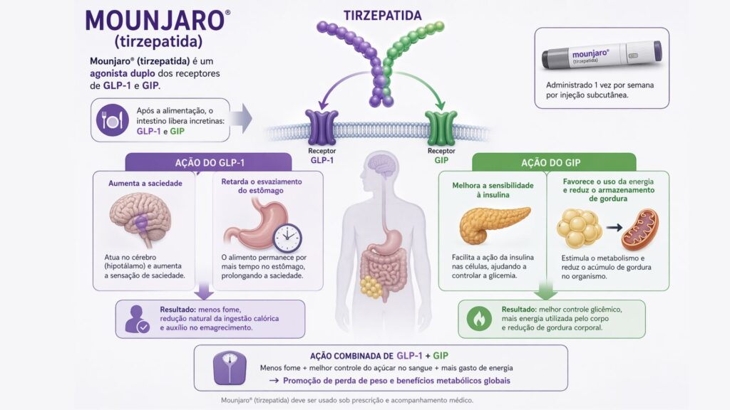 ilustração do funcionamento do tirzepatida no organismo