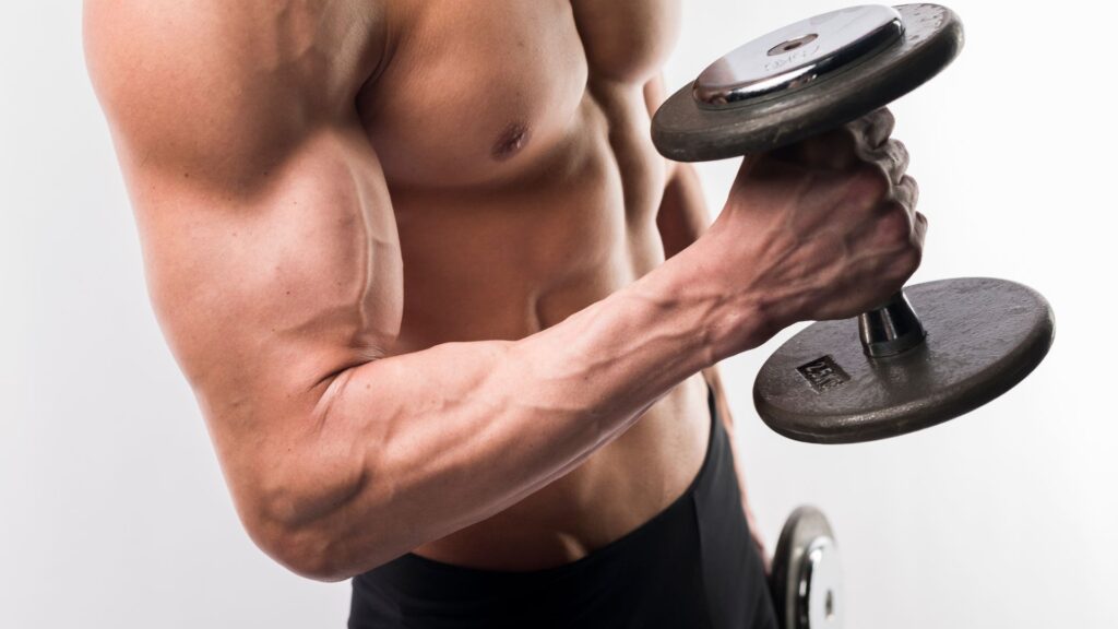 ganho de massa muscular homem