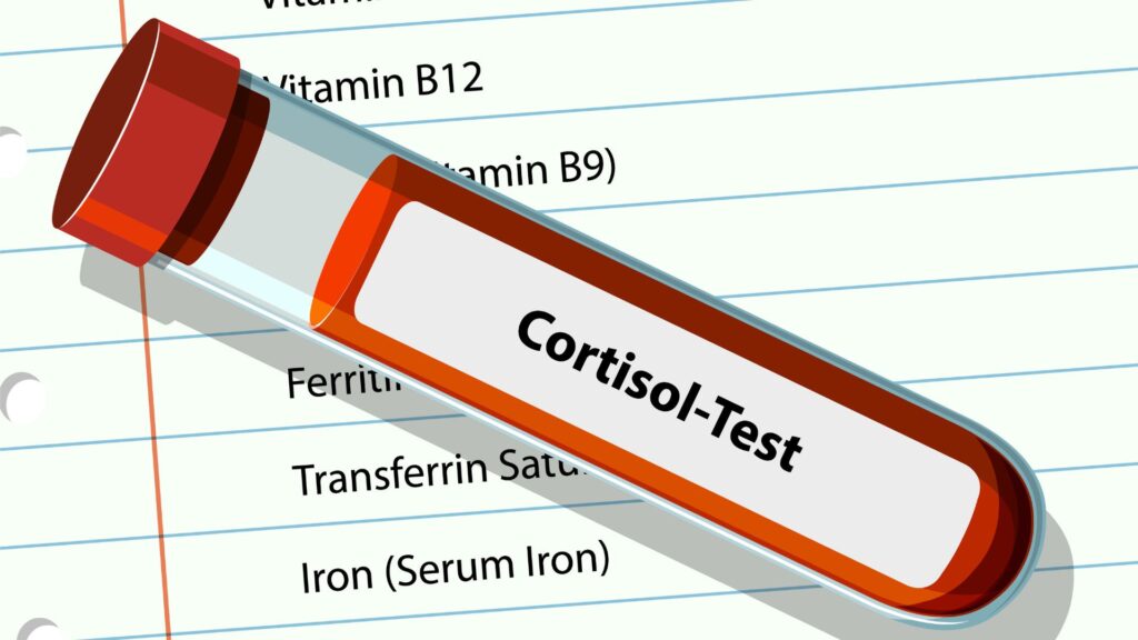 ilustração do cortisol