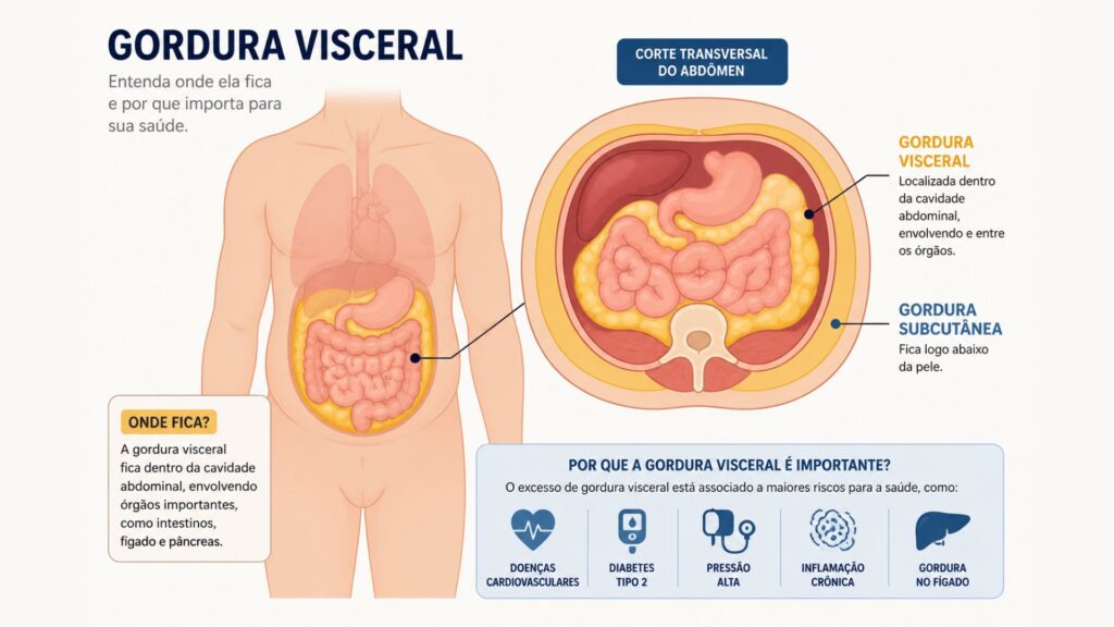 gordura visceral