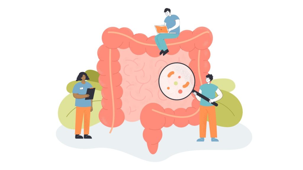 Ilustração intestino analise