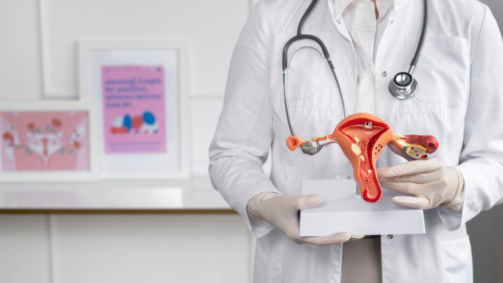 médico modelo ovário com vista interna